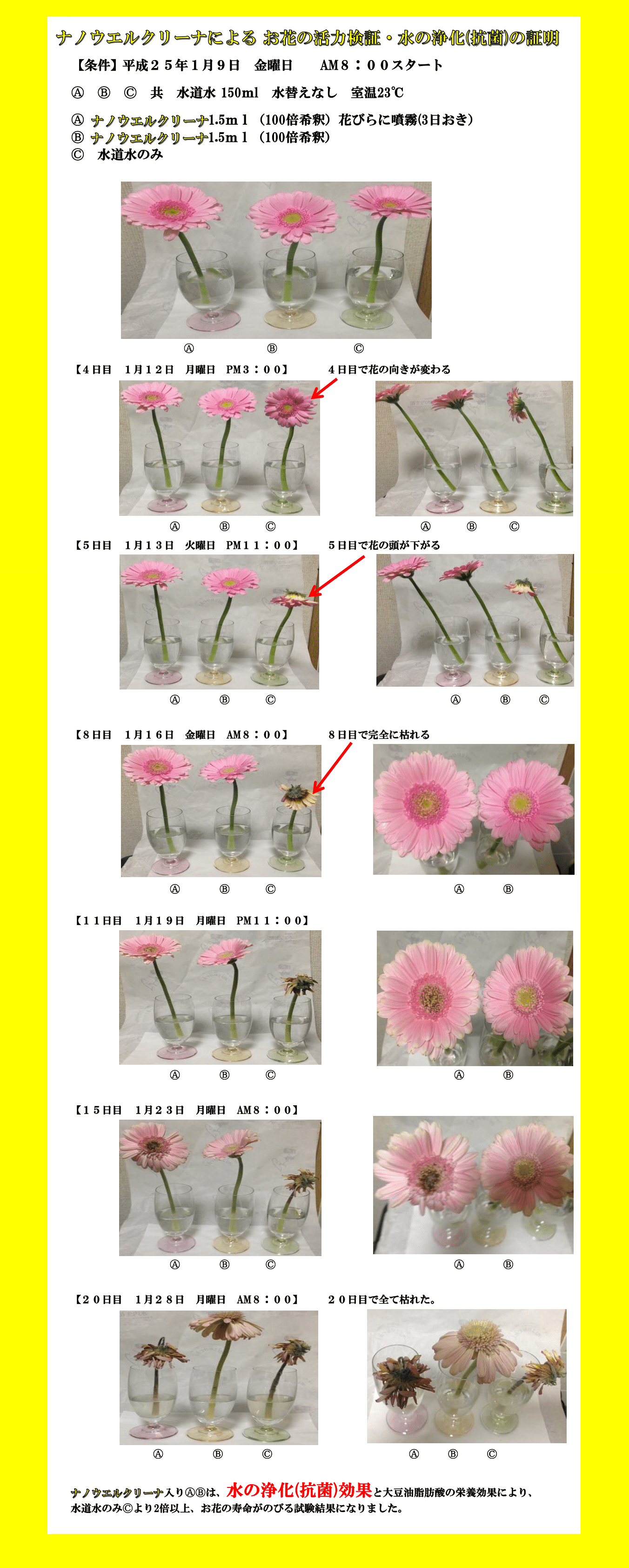 非塩素系・植物原料由来多機能洗浄液『ナノウエルクリーナ』 – 井直